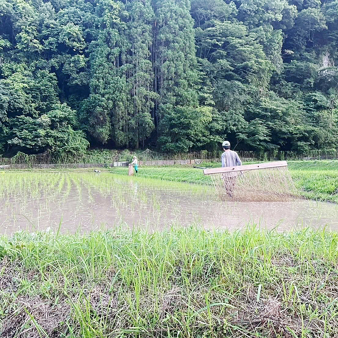 農事組合法人樋桶の郷　中島農園