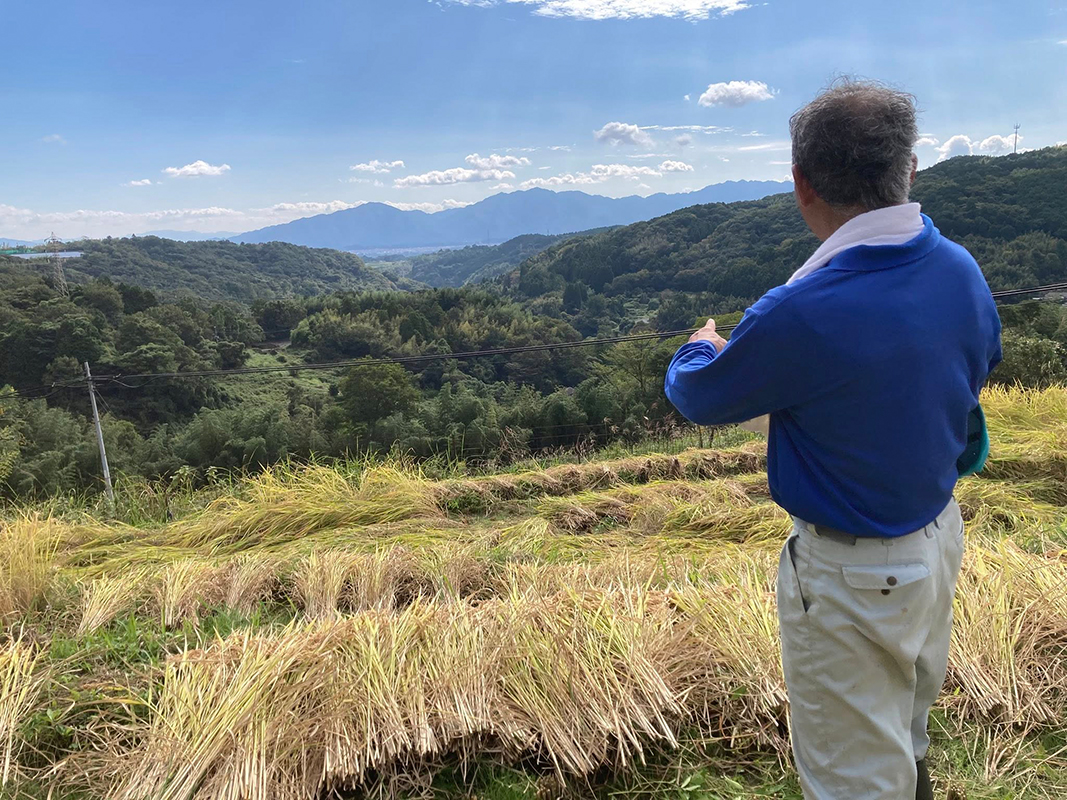 別府市内成棚田3