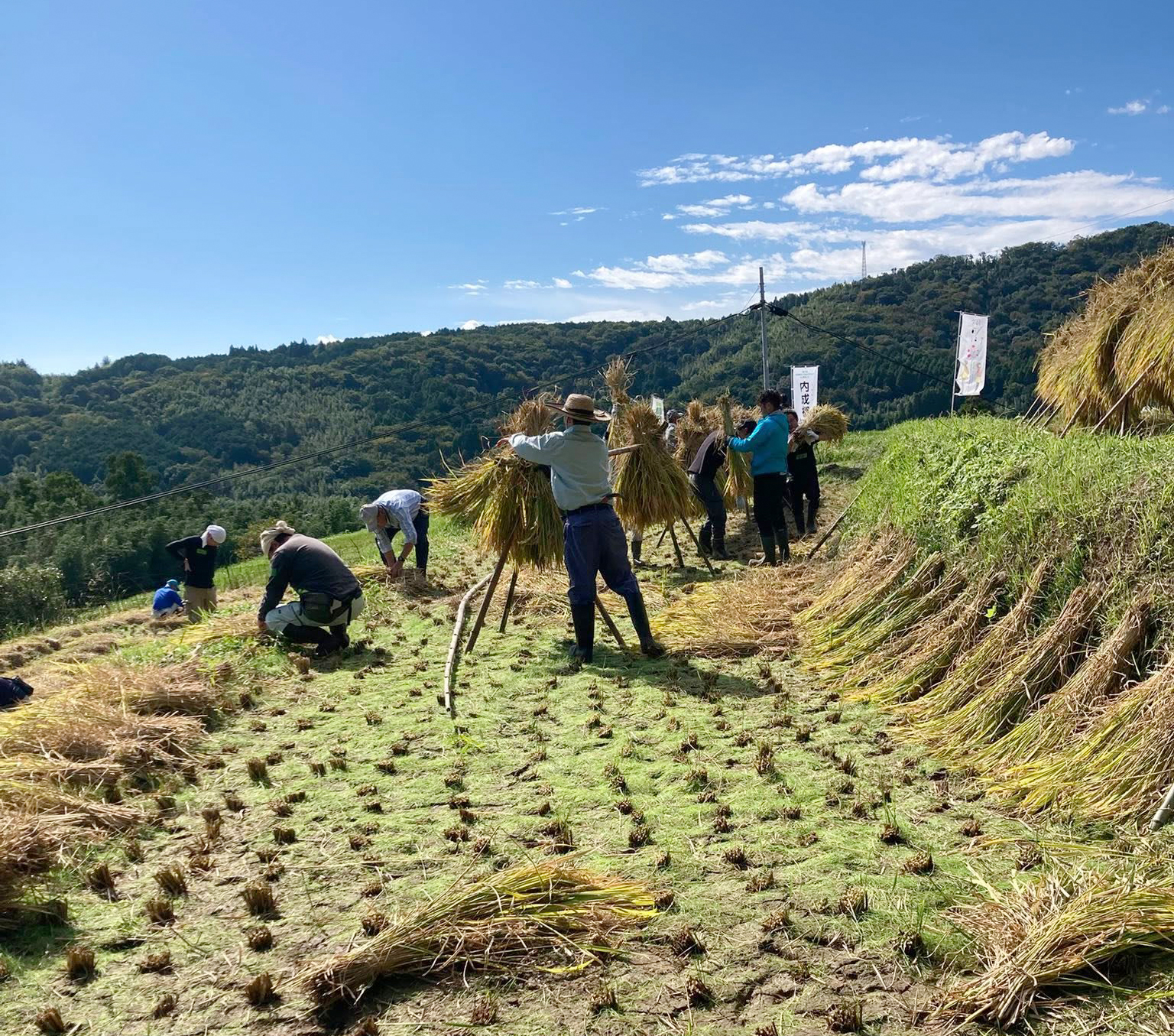 別府市内成棚田4