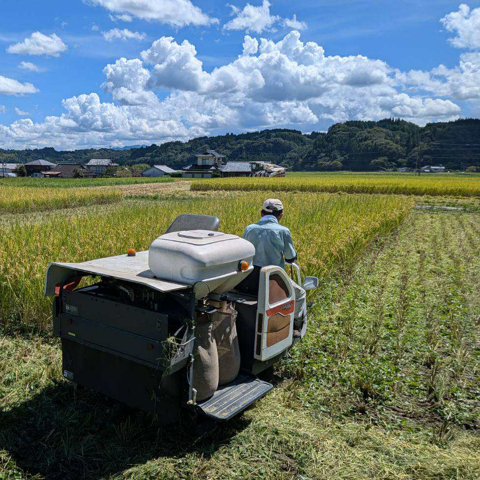 ウジャマー農場